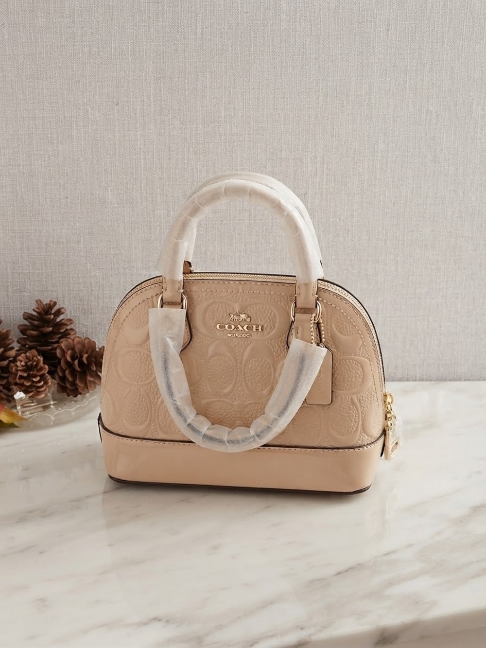 Mini Coach For Women